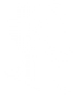 logo-home-3.png